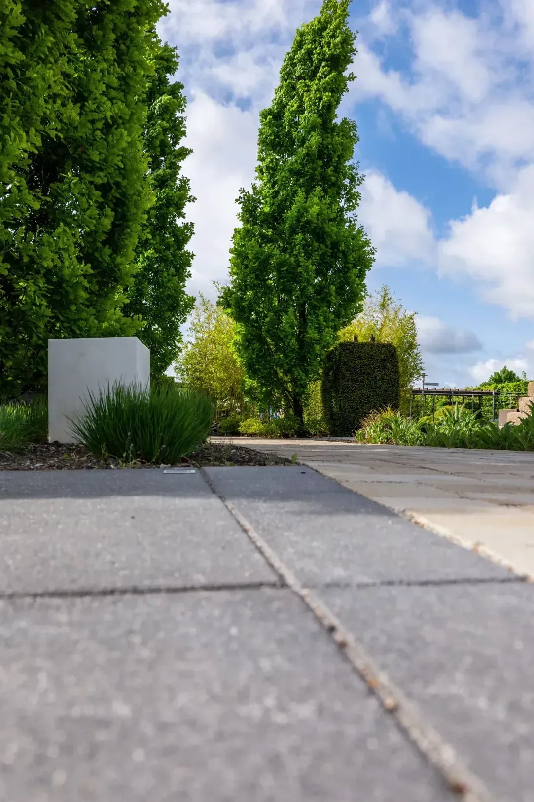 Garten- und Teichpflege